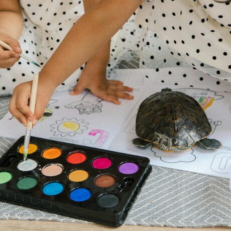 Integrates with Other Subjects-min